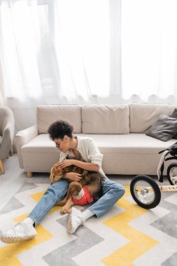 Afro-Amerikan kadının engelli köpeğini evinde okşarken yan görünümü 