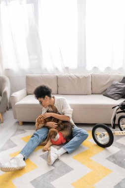 Side view of african american woman petting disabled dog on floor at home  clipart