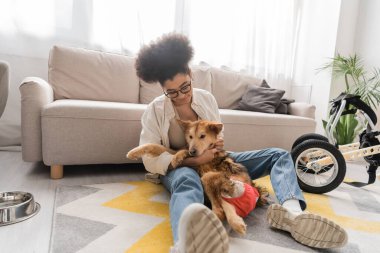 Genç Afrikalı Amerikalı kadın tekerlekli sandalyenin yanında engelli köpeğe sarılıyor ve evde bowling oynuyor. 