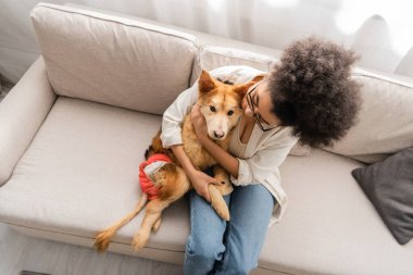 Afro-Amerikan kadının engelli köpeğe sarılıp evde kanepede oturması. 