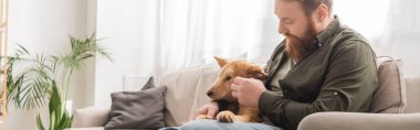 Tişörtlü sakallı adam oturma odasında kanepede köpek besliyor. 