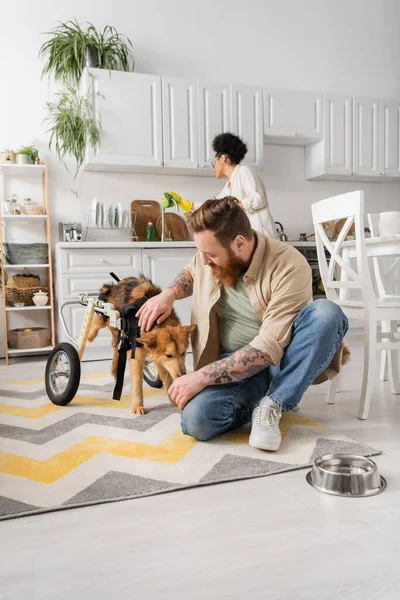 Tattooed man petting disabled dog on wheelchair near bowl on floor at home