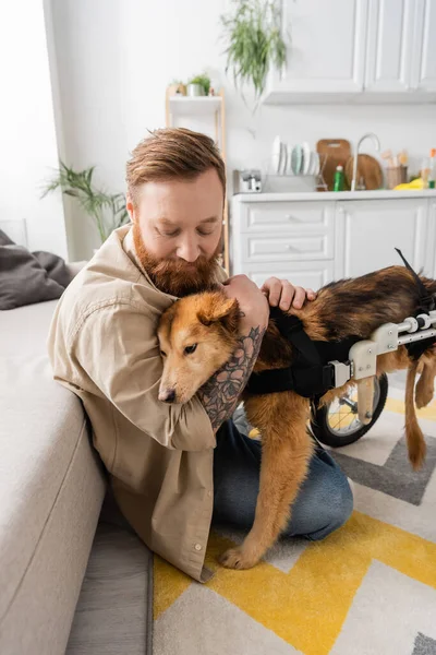 Bearded man with tattoo hugging disabled dog in wheelchair at home