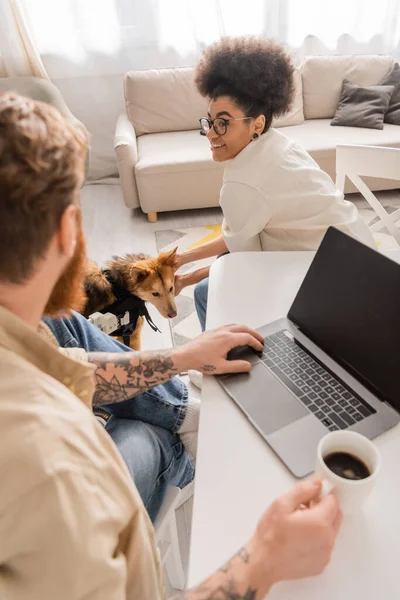 Cheerful African American Woman Petting Handicapped Dog Blurred Boyfriend Laptop — Stock Photo, Image