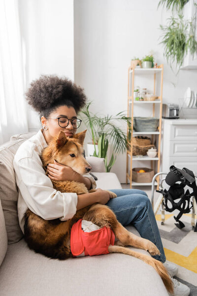 African american woman hugging disabled dog on couch near blurred wheelchair at home 