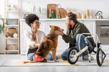Mutfakta tekerlekli sandalyenin yanında sakat köpekleri okşayan gülümseyen ırklar arası bir çift. 