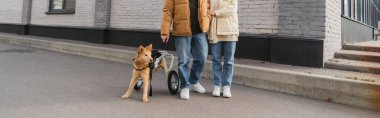 Tekerlekli sandalyedeki engelli köpeğin yanında duran çift manzarası, afiş. 