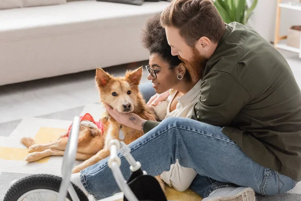 Positive African American Woman Sitting Disabled Dog Bearded Boyfriend Home — Stock Photo, Image