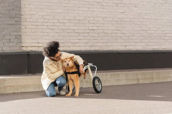 Lächelnde Afroamerikanerin Umarmt Hund Mit Besonderen Bedürfnissen Auf Urbaner Straße — Stockfoto