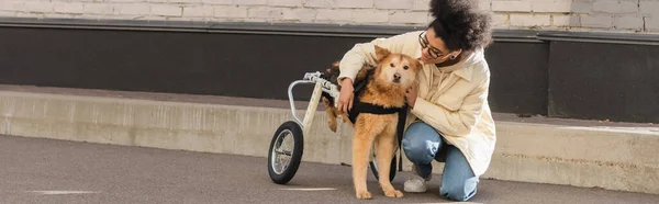 Χαμογελώντας Αφροαμερικανή Γυναίκα Αγκαλιάζει Σκύλο Ειδικές Ανάγκες Στην Αστική Οδό — Φωτογραφία Αρχείου