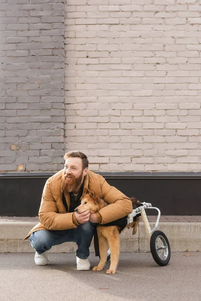 Uśmiechnięty Brodaty Mężczyzna Przytulający Psa Wózku Inwalidzkim Miejskiej Ulicy — Zdjęcie stockowe