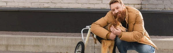 Bearded man hugging disabled dog in wheelchair on urban street, banner