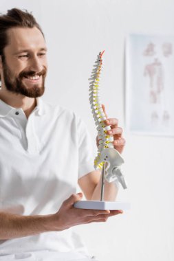 pleased bearded osteopath looking at spine model in consulting room clipart