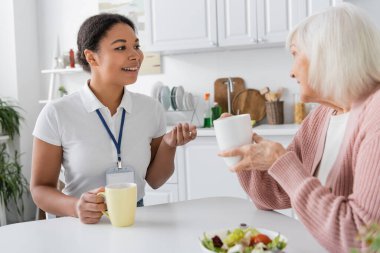 Mutlu çok ırklı sosyal hizmetler görevlisi çay içerken yaşlı kadınla konuşuyor. 