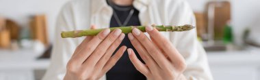 Cropped view of blurred woman holding fresh asparagus in kitchen, banner  clipart