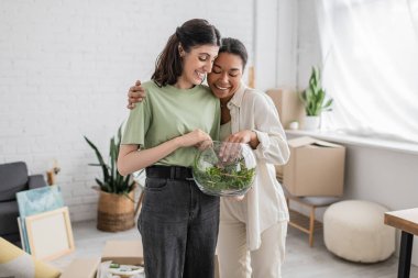 overjoyed interracial and lesbian women hugging and looking at green plant in glass vase  clipart