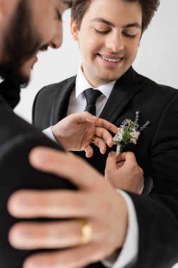 Bulanık ve sakallı eşcinsel damat, gri renkte izole edilmiş düğün kutlaması sırasında pantolon askısı takan genç erkek arkadaşın çiçekli yaka çiçeğini ayarlıyor.  