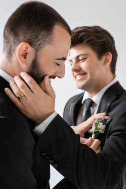 Neşeli sakallı eşcinsel damat, gri renkte izole edilmiş düğün kutlaması sırasında diş teli takmış, bulanık çiçekli bir yaka çiçeğini düzeltiyor.  
