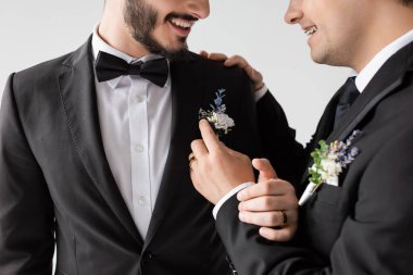 Gri renkte izole edilmiş nikah töreninde gülümseyen ve sakallı erkek arkadaşının çiçek yakasına dokunan diş teli takmış genç homoseksüel bir adam görüntüsü. 
