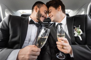 Smiling and young gay grooms in formal wear with boutonnieres sitting nose to nose and holding champagne on backseat of car after wedding celebration clipart