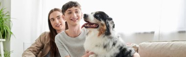 Tüylü Avustralyalı çoban köpeği bulanık ve gülümseyen eşcinsel çiftin yanında oturuyor. Evdeki oturma odasında, kanepede, pankartta. 
