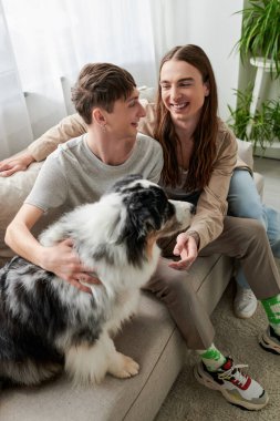 Yüksek açılı genç gülümseyen lgbt çifti görüntüsü günlük giysiler içinde konuşurken Tüylü Avustralyalı çoban köpeğinin yanında evde, oturma odasında koltukta otururken 