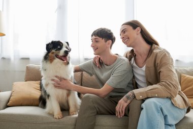 Aşırı neşeli, uzun saçlı, günlük kıyafetlerle gezen, erkek arkadaşına sarılan, evinde rahat bir kanepede otururken tüylü bir Avustralya çoban köpeğini okşayan eşcinsel. 