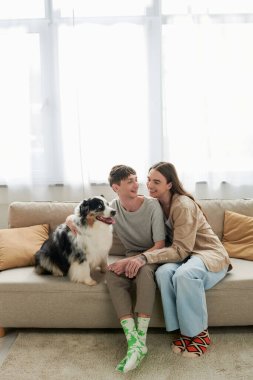 Neşeli, aynı cinsiyetten çift, gündelik giysiler ve çoraplar içinde, evdeki modern oturma odasındaki koltukta oturan tüylü Avustralya çoban köpeğinin yanında konuşuyorlar. 