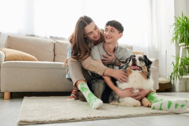 Genç ve kaygısız aynı çift çoraplarını giyer ve evdeki modern oturma odasında yerde dinlenen tüylü Avustralya çoban köpeğine sarılır ve okşar. 