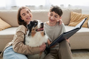 smiling and young gay men looking together at Australian shepherd dog and holding photo album while smiling in living room at modern apartment  clipart
