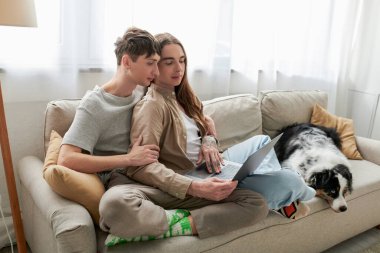 young lgbt couple in casual clothes looking at laptop while searching something online and sitting on comfortable couch near Australian shepherd dog in modern apartment  clipart