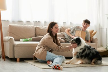 Avustralyalı çoban köpeğiyle oynayan neşeli, uzun saçlı eşcinsel adam. Erkek arkadaşı gündelik giysiler içinde kanepede dinlenirken ve modern oturma odasında kitap tutarken. 