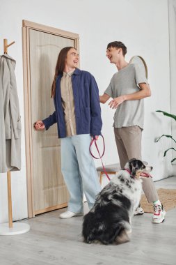 happy gay man looking at boyfriend with long hair standing in modern hallway next to coat rack and holding leash with Australian shepherd dog while smiling together at home  clipart