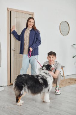 Mutlu eşcinsel adam gülümserken, modern koridorda kapıya yakın dururken uzun saçlı neşeli erkek arkadaşının yanında sevimli Avustralyalı çoban köpeğine sarılıyor. 