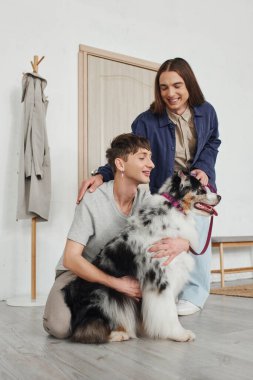 Uzun saçlı mutlu eşcinsel adam tasmasını tutuyor ve neşeli erkek arkadaşına sarılıyor sevimli Avustralyalı çoban köpeğini modern koridorda askılığın yanında kucaklıyor. 