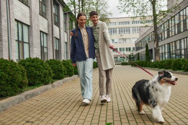 Avustralya çoban köpeğinin tasmasını tutan sıradan kıyafetli neşeli eşcinsel bir adam. Kentsel caddedeki modern binanın yanında saçları örgülü, gülümseyen bir erkek arkadaşla yürürken. 