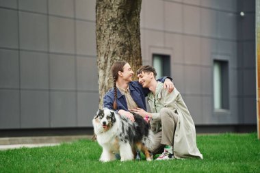 Mutlu eşcinsel çift, Avustralya çoban köpeğinin yanında yeşil çimlerde otururken ve kucaklaşırken birlikte yürürken ve şehrin bulanık arka planında, ağaç ve modern binanın yanında gülümserken. 