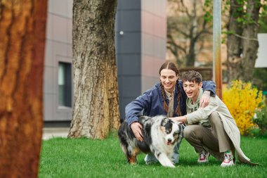 Mutlu eşcinsel çift yeşil çimenlerde oturup sarılıyor ve Avustralya çoban köpeğine sarılıyor ve ağaçların yanında gülümsüyor. 
