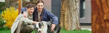 Mutlu eşcinsel çift sarılıp yeşil çimlerde otururken Avustralyalı çoban köpeğine sarılıyor ve ağaç gövdesinin yanında gülümsüyor ve modern bina caddenin bulanık arka planında, afişte 