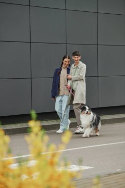 Avustralya çoban köpeğinin tasmasını tutan heyecanlı bir eşcinsel adam ve şehir caddesindeki modern binanın yanında ön planda bulanık bitkilerle günlük kıyafet içinde erkek arkadaşıyla dışarı çıkıyor. 