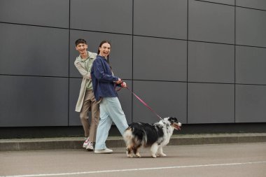 Saç stili örgü saçlı, pozitif eşcinsel bir adam. Tasmasını tutuyor ve Avustralya çoban köpeği ve modern gri binanın yanında mutlu bir erkek arkadaşla yürüyor.