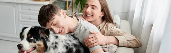 Young Smiling Gay Couple Spending Time Furry Australian Shepherd Dog — Stock Photo, Image