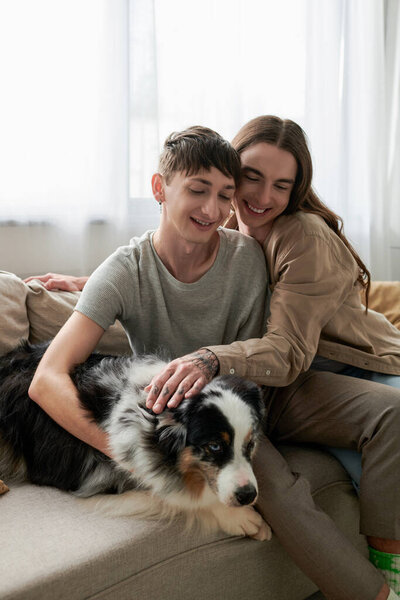 Long haired and tattooed gay man petting furry Australian shepherd dog near smiling partner in t-shirt sitting on couch while spending time together at home 