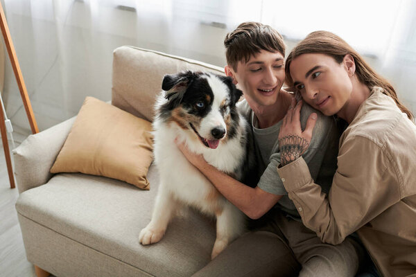 Tattooed and long haired gay man in casual clothes hugging carefree boyfriend petting friendly Australian shepherd dog while sitting on modern couch in living room at home 