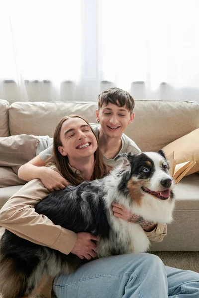 在现代客厅里抱着澳大利亚牧羊犬 穿着休闲装的夫妻坐在舒适的沙发旁边笑着 — 图库照片