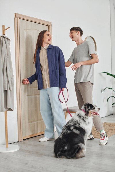 happy gay man looking at boyfriend with long hair standing in modern hallway next to coat rack and holding leash with Australian shepherd dog while smiling together at home 