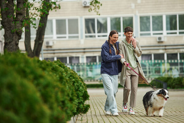 happy lgbt couple in casual outfits holding leash of Australian shepherd dog while walking out together and smiling near green bushes and modern building on urban street 