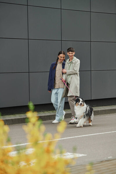 excited gay man with pigtails holding leash of Australian shepherd dog and walking out with boyfriend in casual outfit near modern building on urban street with blurred plant on foreground 