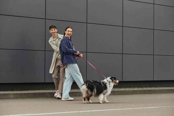 Positive gay man with pigtails hairstyle holding leash and walking out with Australian shepherd dog and happy boyfriend in casual outfit near modern grey building