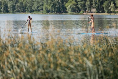 active multiethnic couple in swimwear spending weekend on water by sailing on sup boards along riverside with green plants on blurred foreground on summer day clipart